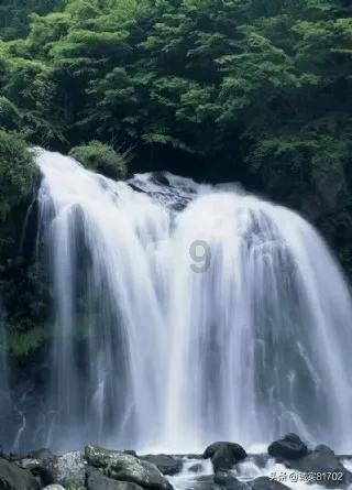 吉鹿力问答社区——找答案就来这是哪部卡通片的?